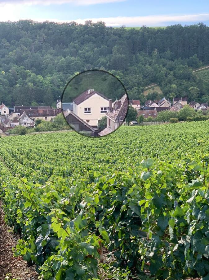 Maison De Campagne Entre Vigne Et Bois Chablis Luaran gambar