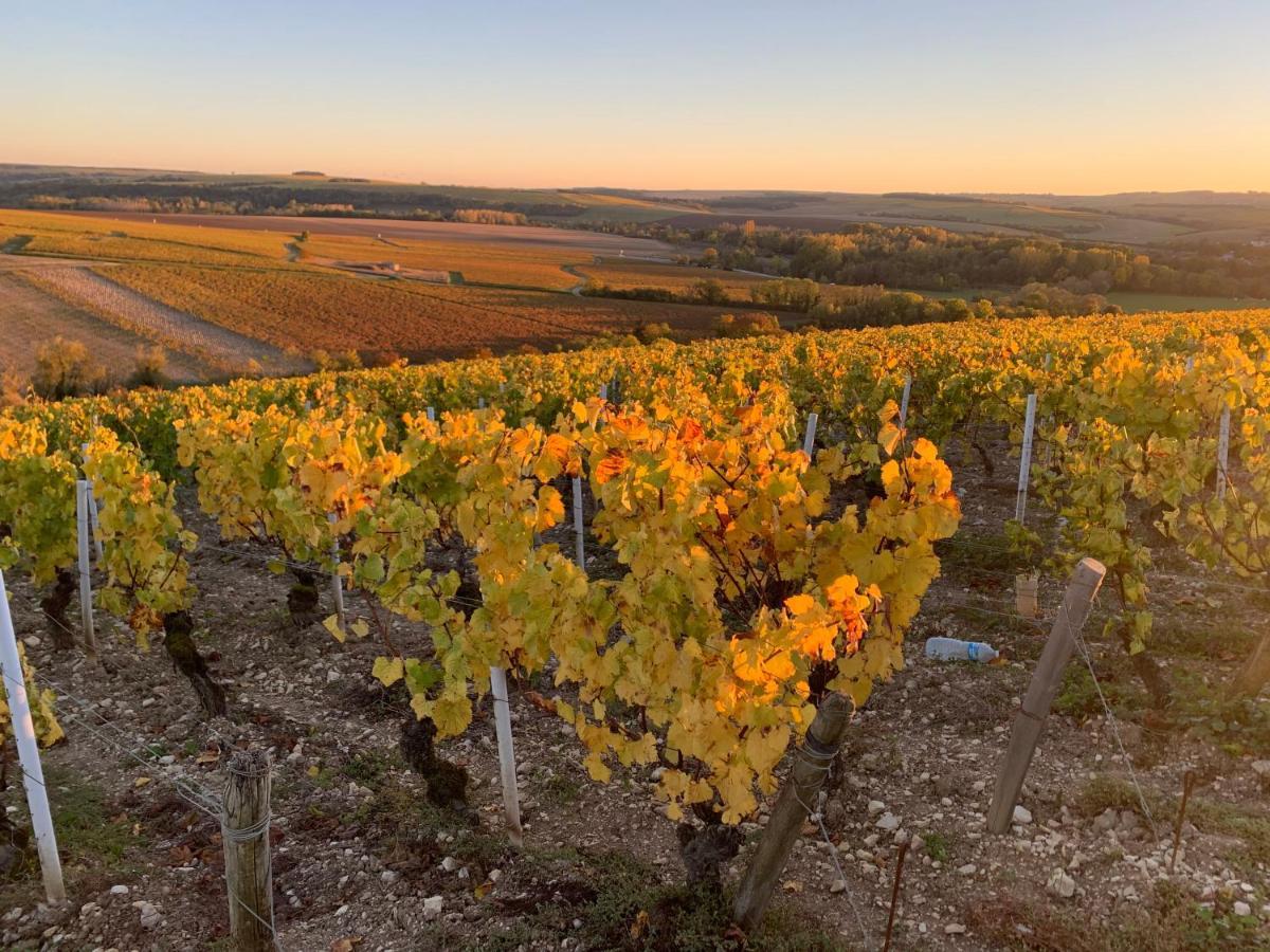 Maison De Campagne Entre Vigne Et Bois Chablis Luaran gambar